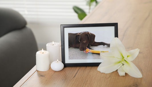 What is the most thoughtful, tear-jerking gift you can give to a grieving dog mom?