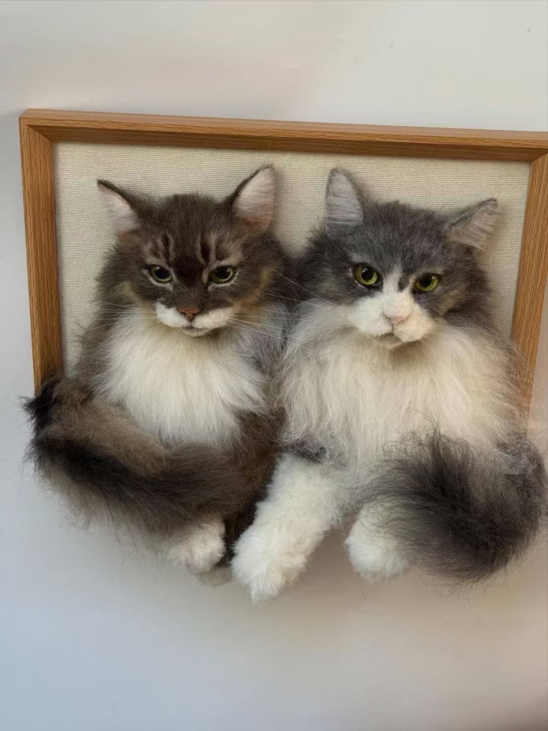 3D framed portrait of two fluffy cats with dark and gray coats, sitting side by side