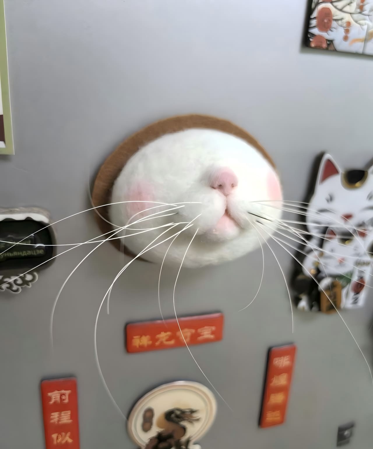 Felt cat face fridge magnet with soft white fur and pink nose