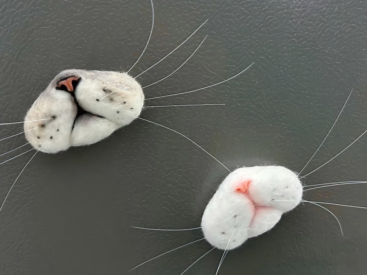 White cat face fridge magnet with black nose and orange patch on one ear
