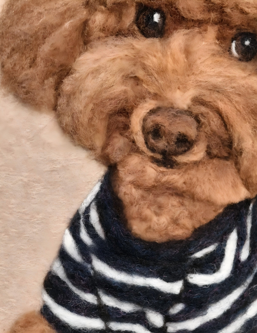 Close-up dog portrait: brown poodle face with navy-and-white striped collar