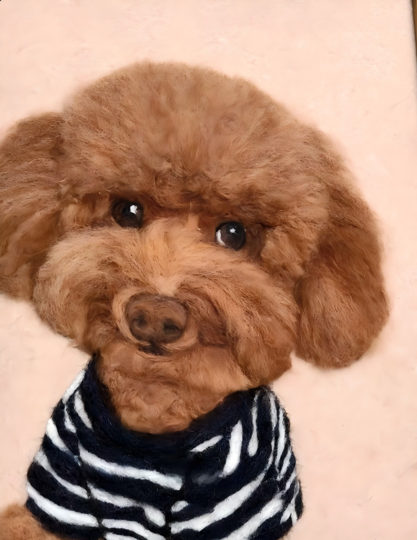 Framed dog portrait, brown poodle head and striped shirt on pale background