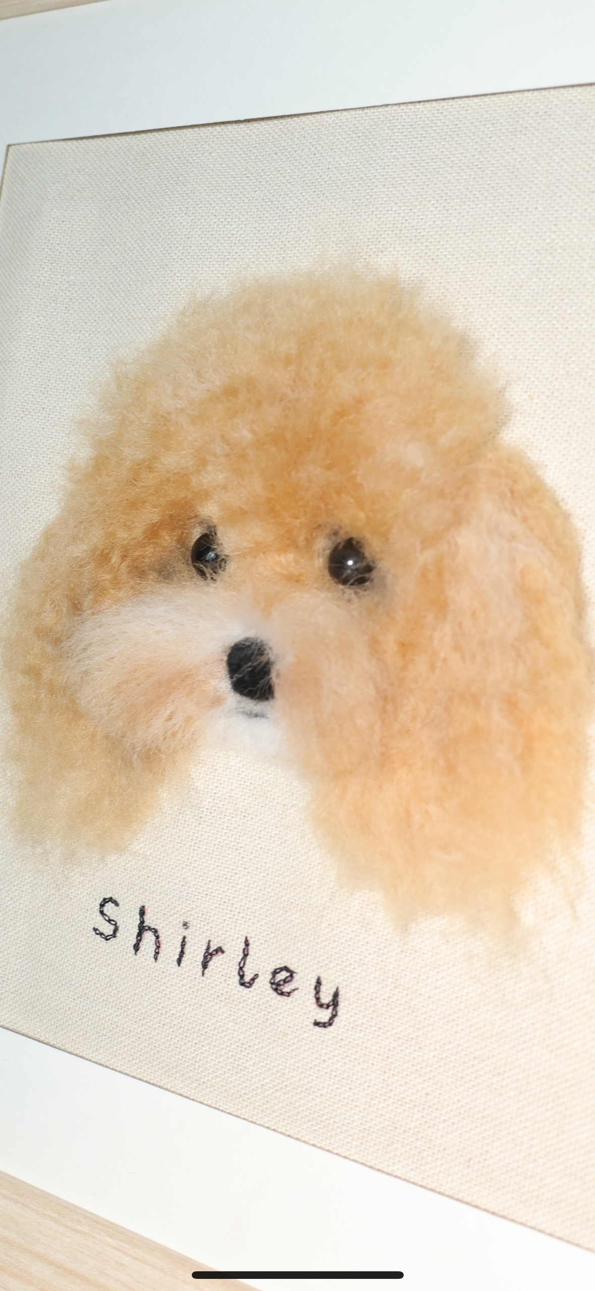 Framed dog portrait close-up, light brown poodle face on pale background