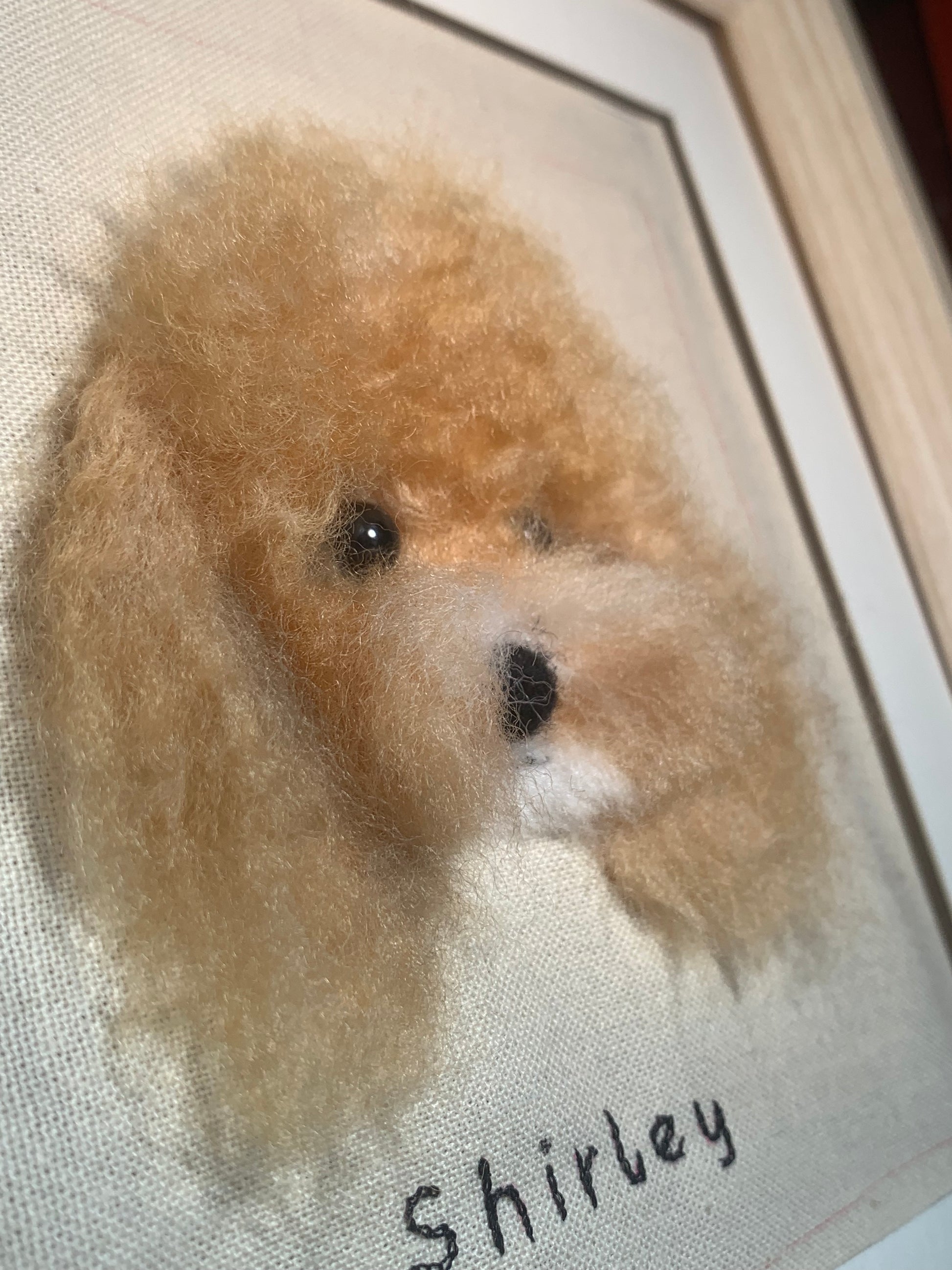 Close-up dog portrait in frame: light brown poodle with 'shirley' text