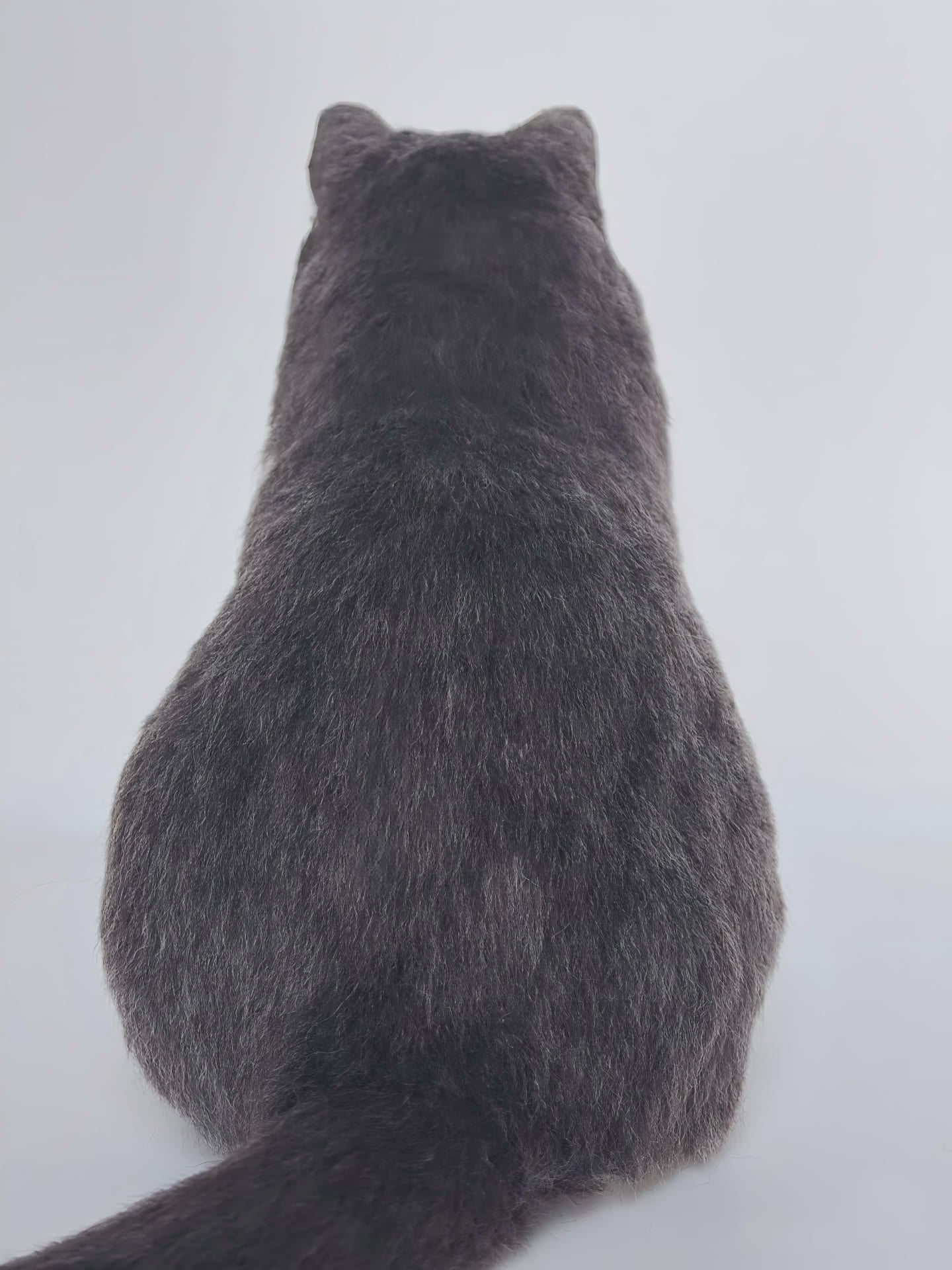 Cat figurine with solid dark gray fur, rear view and upright tail